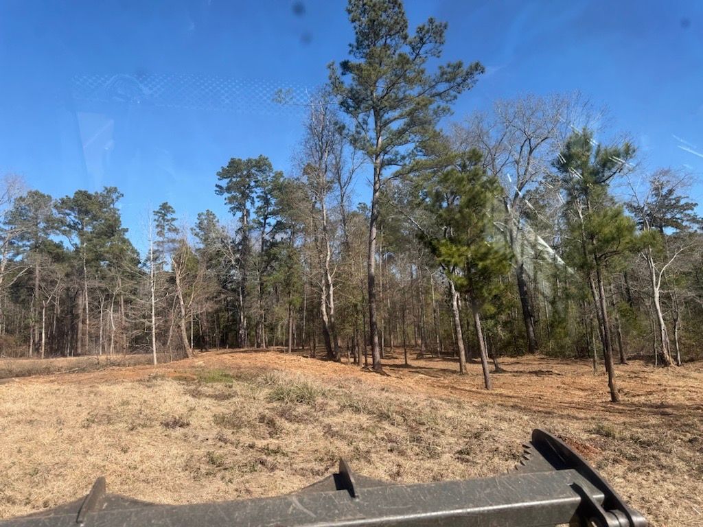 Dry wooded landscape under a clear blue sky, with a dirt clearing and a path in the foreground.