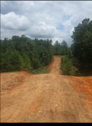 Dirt road cutting through dense green trees under a cloudy sky