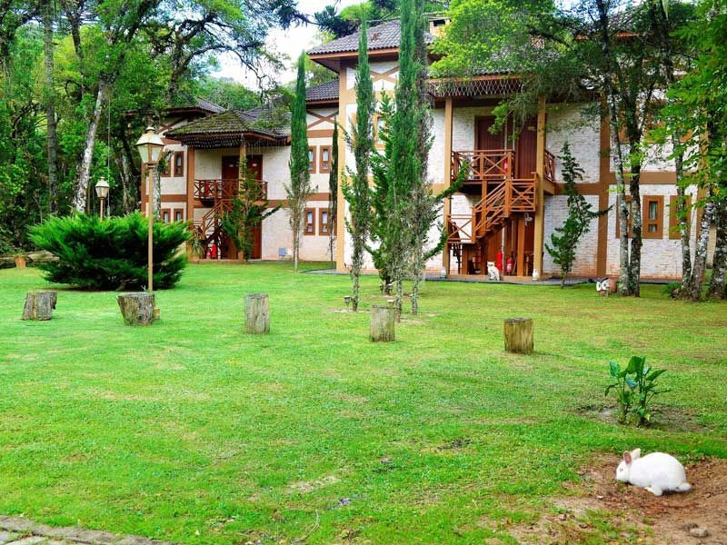 Casas em estilo chalé com varandas de madeira em um gramado verde e arborizado; um coelho branco descansa em primeiro plano.