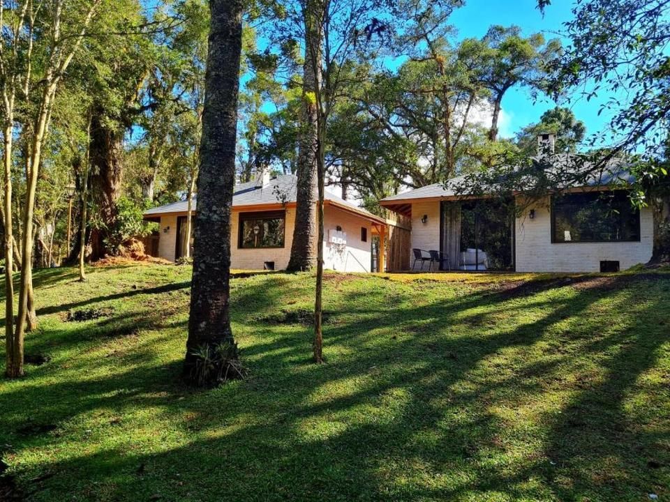 Casa térrea com revestimento branco e detalhes em laranja, situada entre árvores altas em uma encosta gramada.
