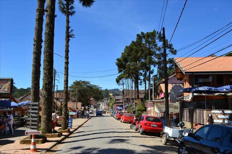 Rua ensolarada com carros estacionados, árvores altas e casas sob um céu azul claro.