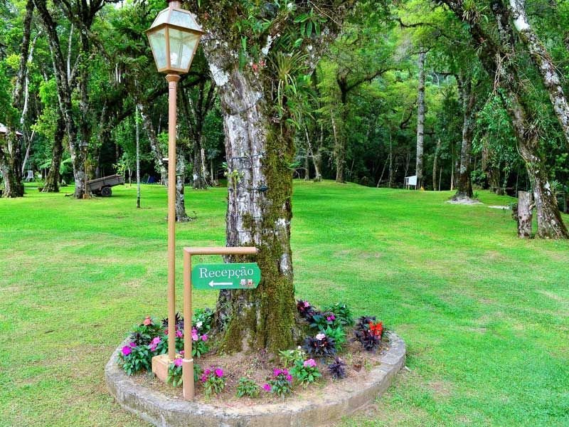 Placa de parque ao lado de uma árvore e um poste de luz em um jardim verdejante e florido.