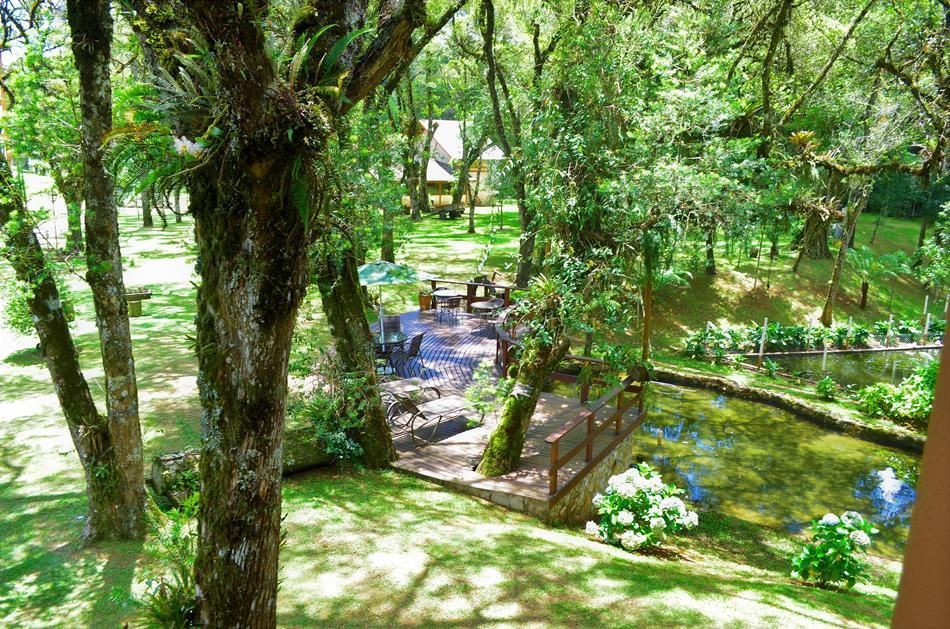 Caminho de jardim com uma pequena ponte de madeira sobre um lago, rodeado por árvores verdejantes e flores.