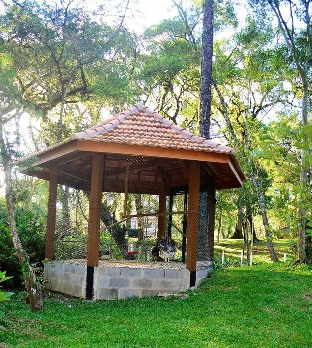 Gazebo de madeira com telhado de telhas em um parque verde com árvores e grama.