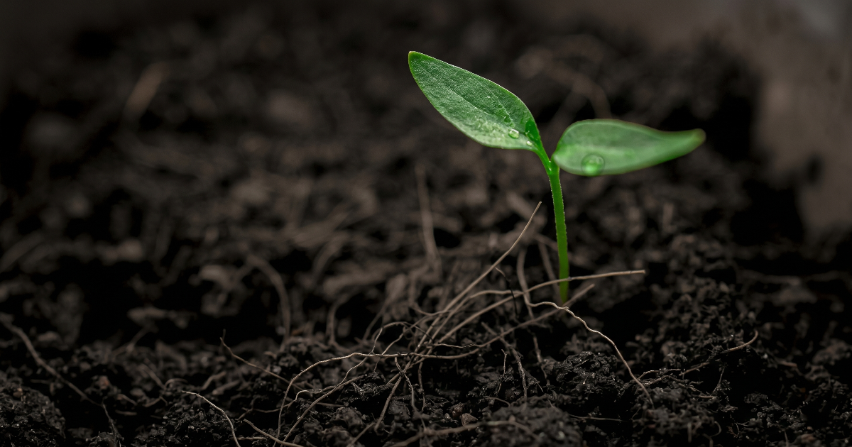 What Types of Soil Contain the Highest Levels of Radon