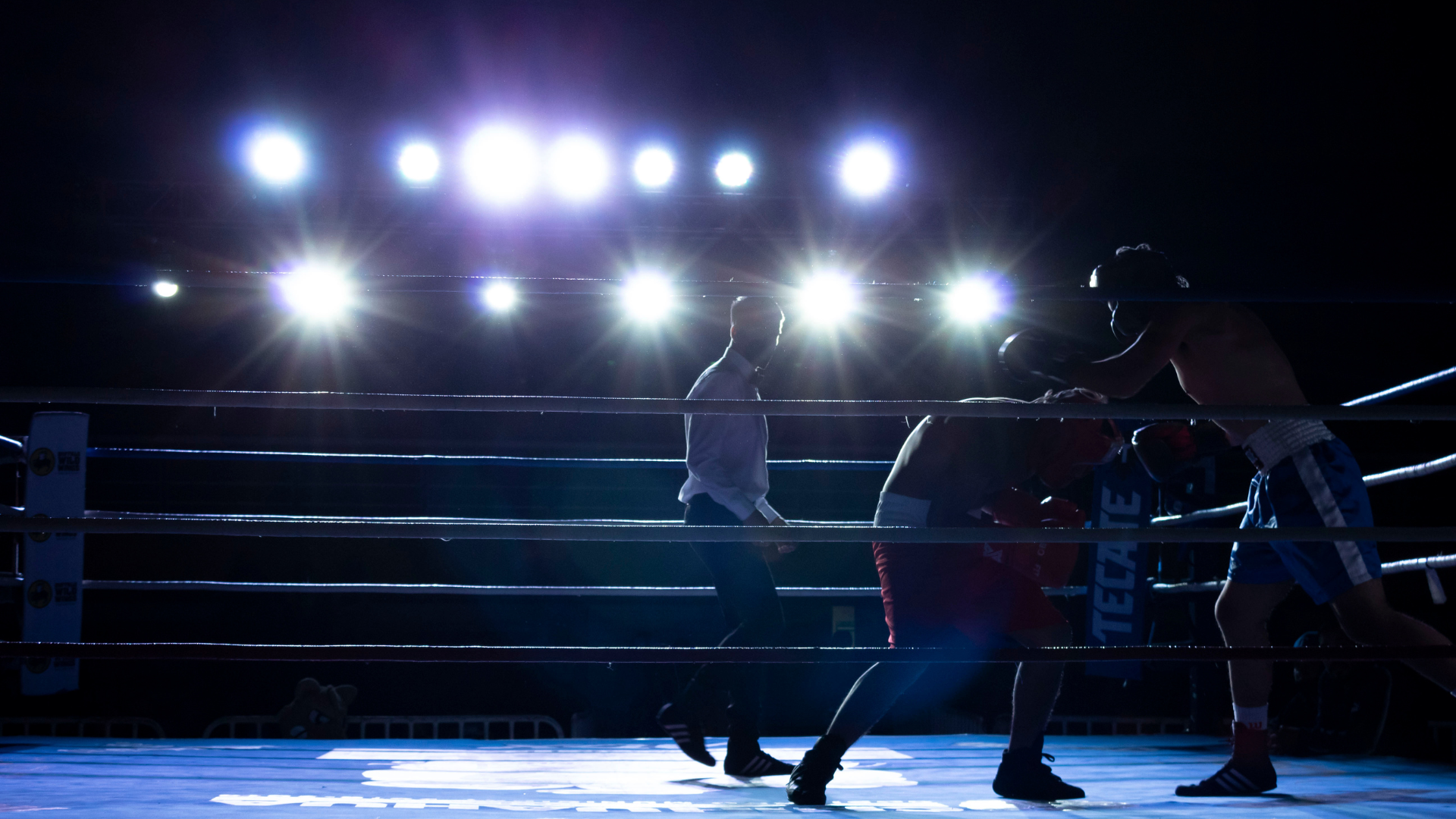 A person is holding a pair of boxing gloves in their hand.