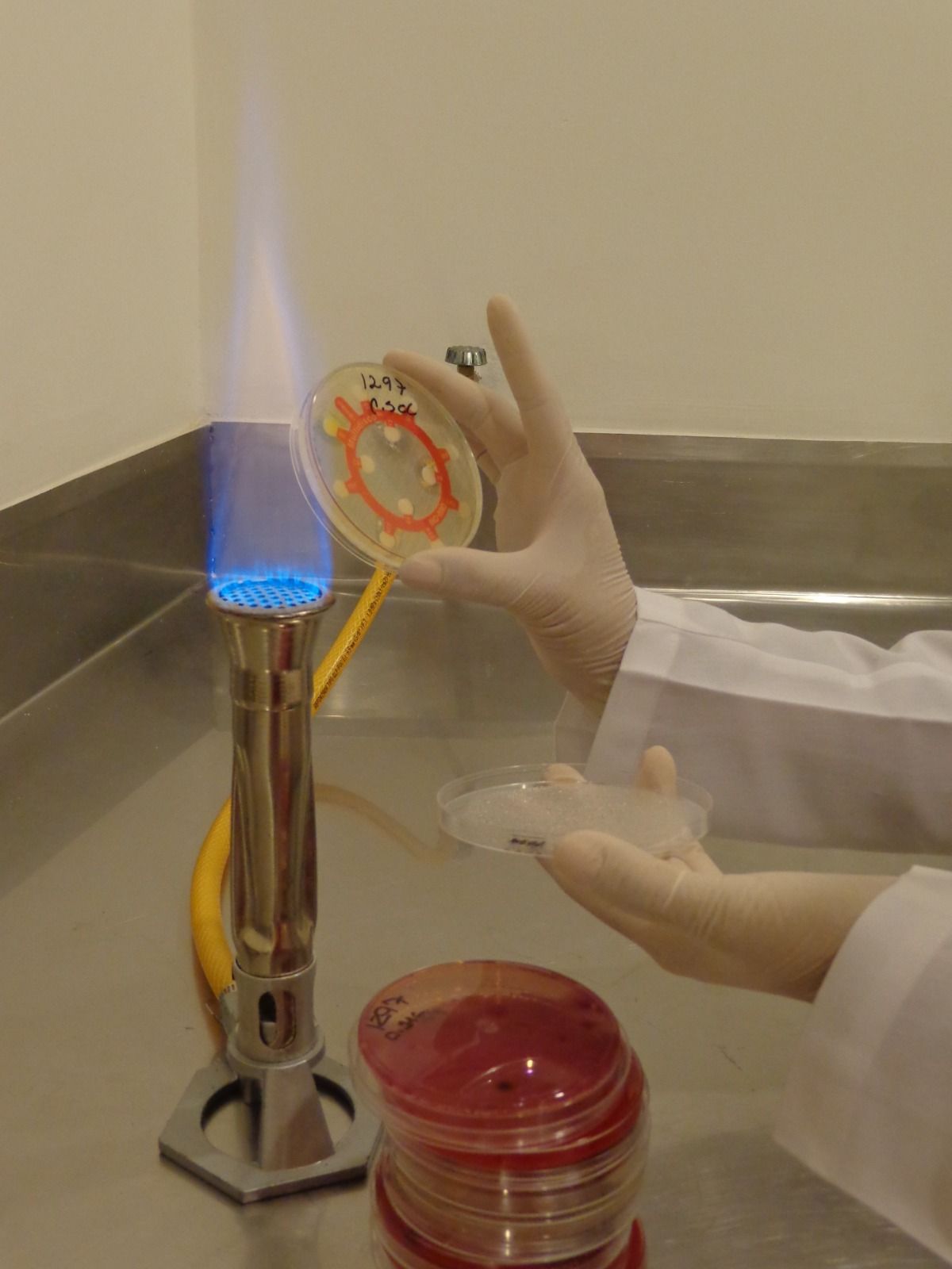  LABORATORIO VITAL-LAB  PERSONAL CAPACITADO