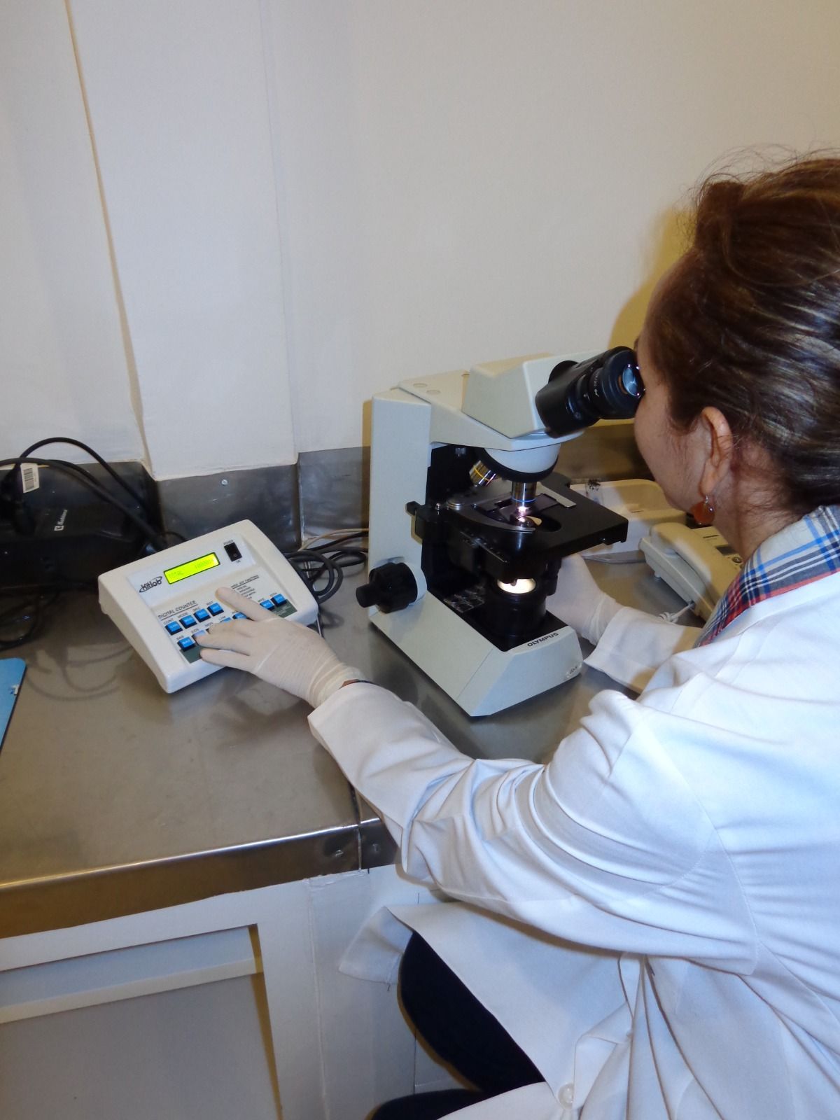  LABORATORIO VITAL-LAB  PERFILES