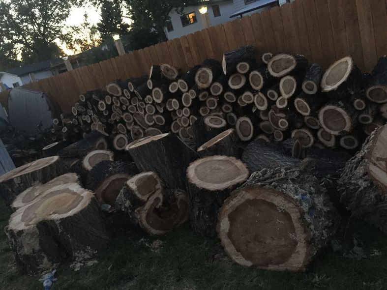 A large pile of cut firewood logs stacked in a yard against a wooden fence at dusk.