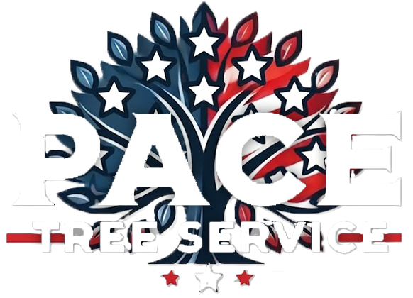 Logo for Pace Tree Service featuring a tree shaped like the American flag with stars and the text "PACE TREE SERVICE".