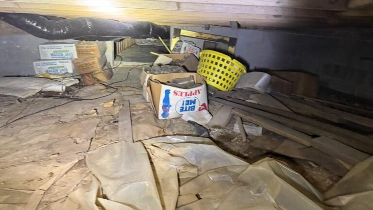 Cluttered crawl space with torn insulation, debris, and a white bucket under low wooden beams