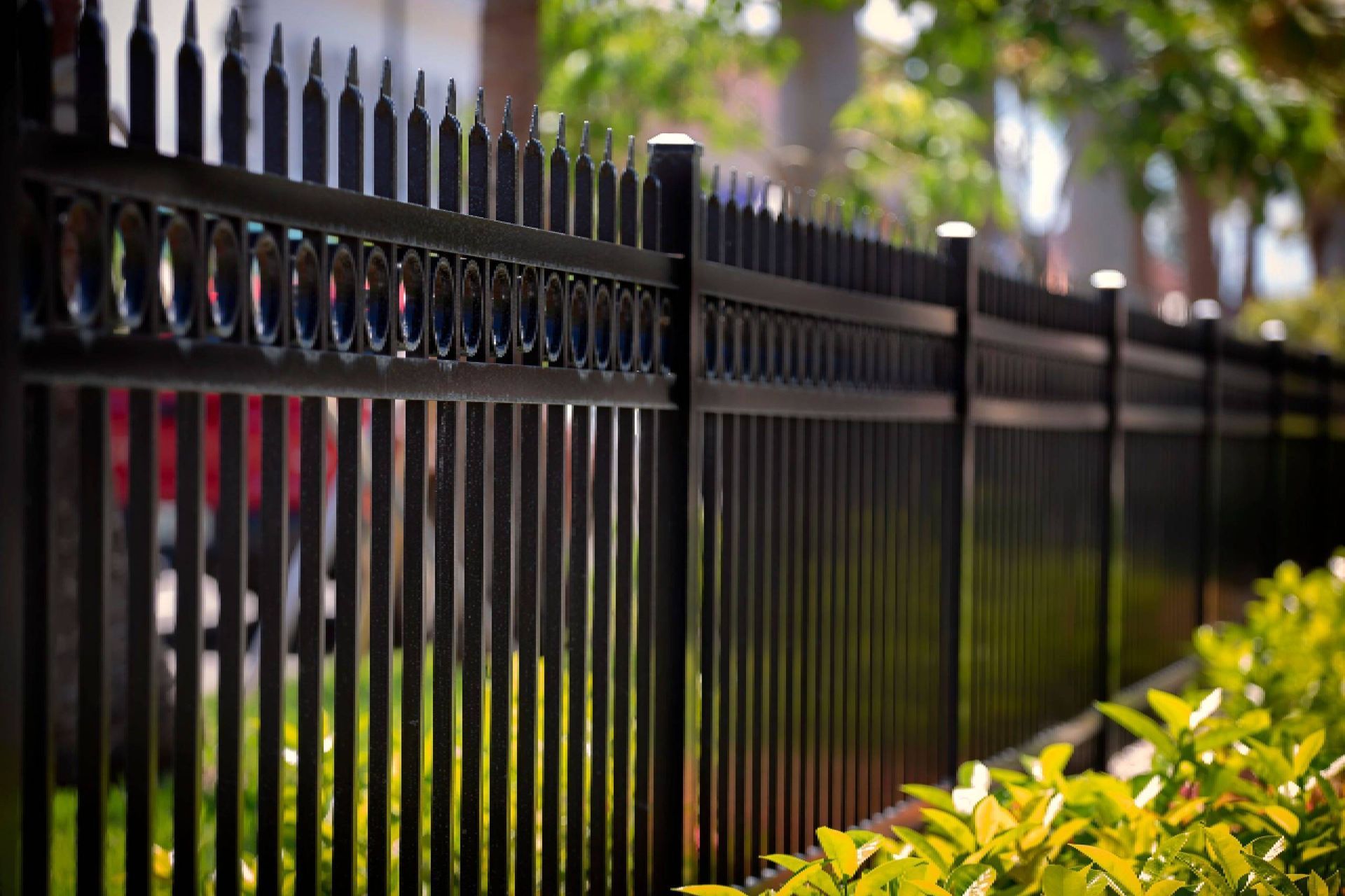 A black metal fence surrounds a lush green yard.