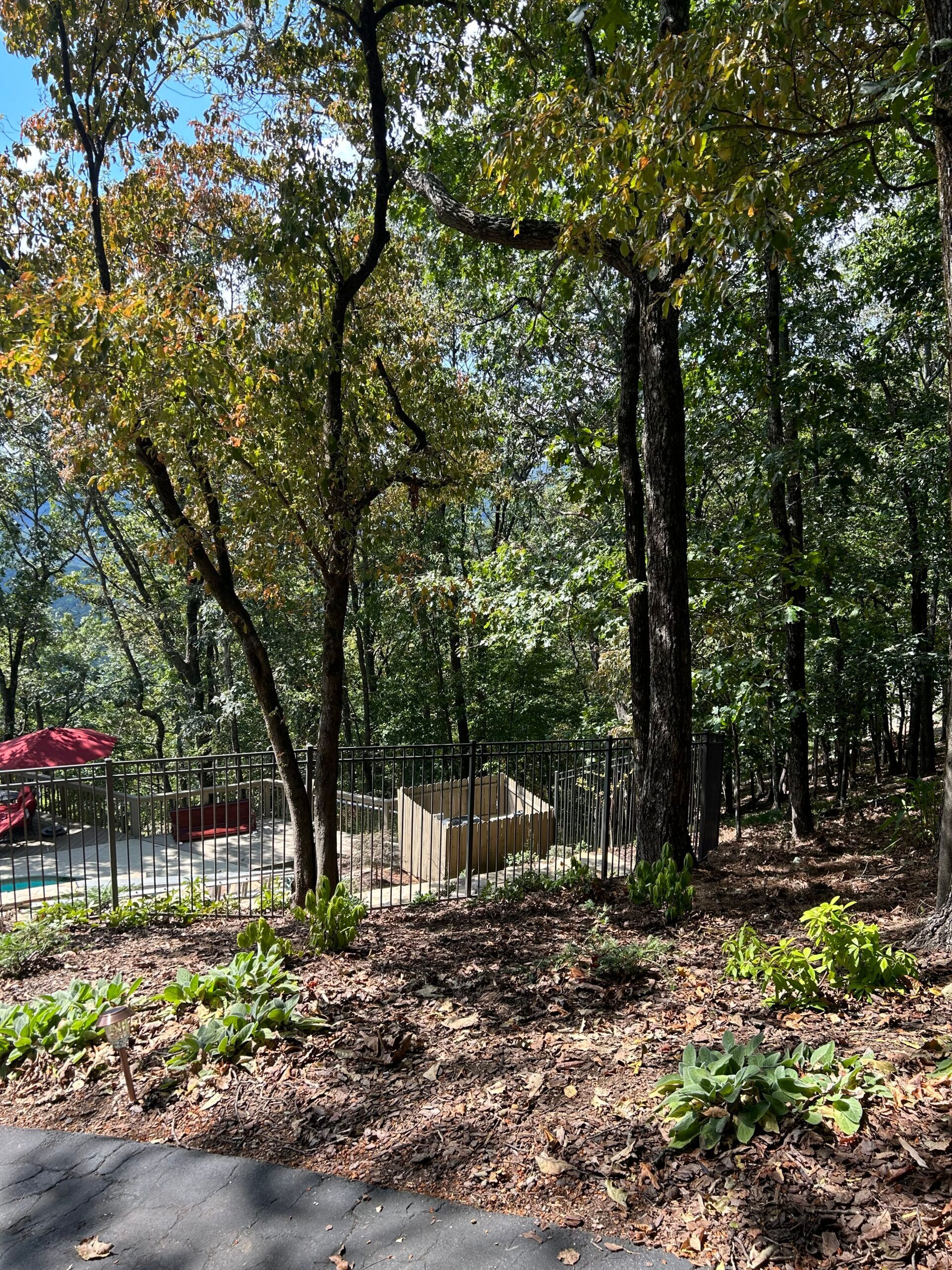 There is a pool in the middle of the woods.