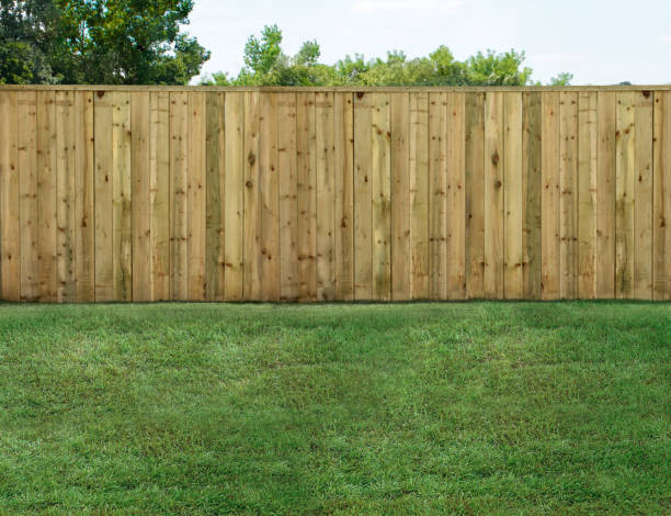 Older Wooden Fence Turned Green