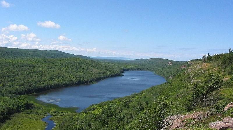 There is a lake in the middle of a forest surrounded by trees.