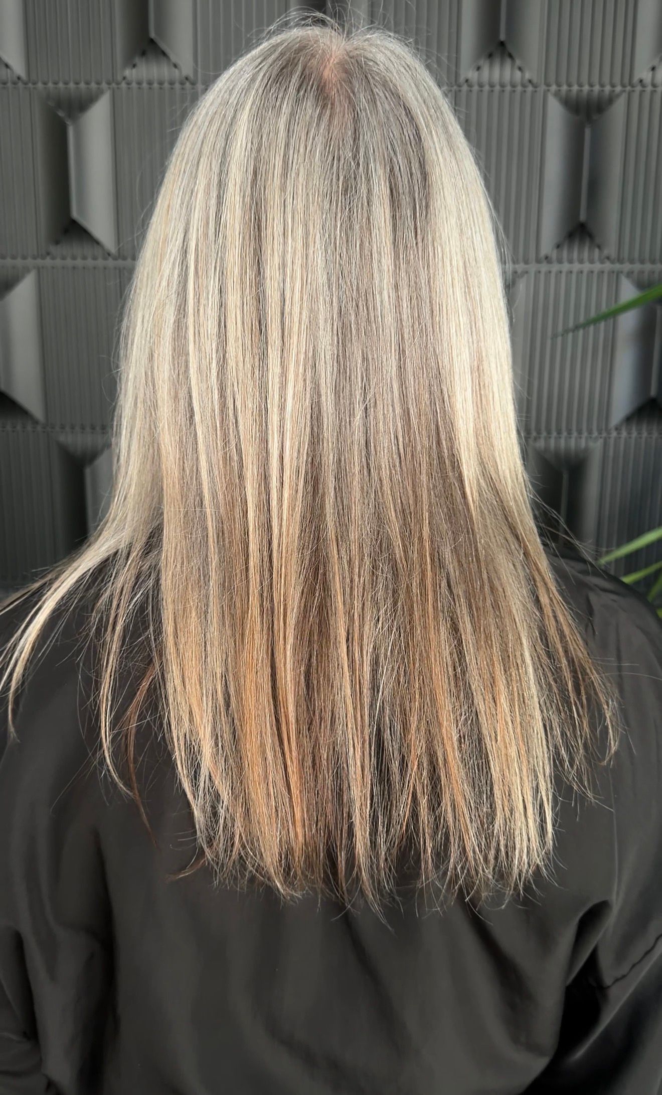 Close-up of naturally gray hair showing silver white and darker tones