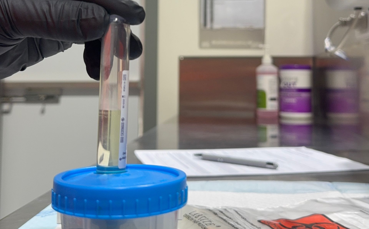 Gloved hand holding a sample tube over a specimen cup in a testing room