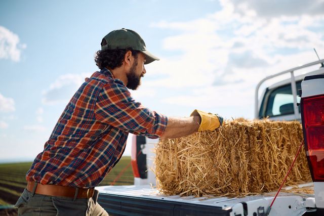 Man loading hay bales onto the tray of a ute