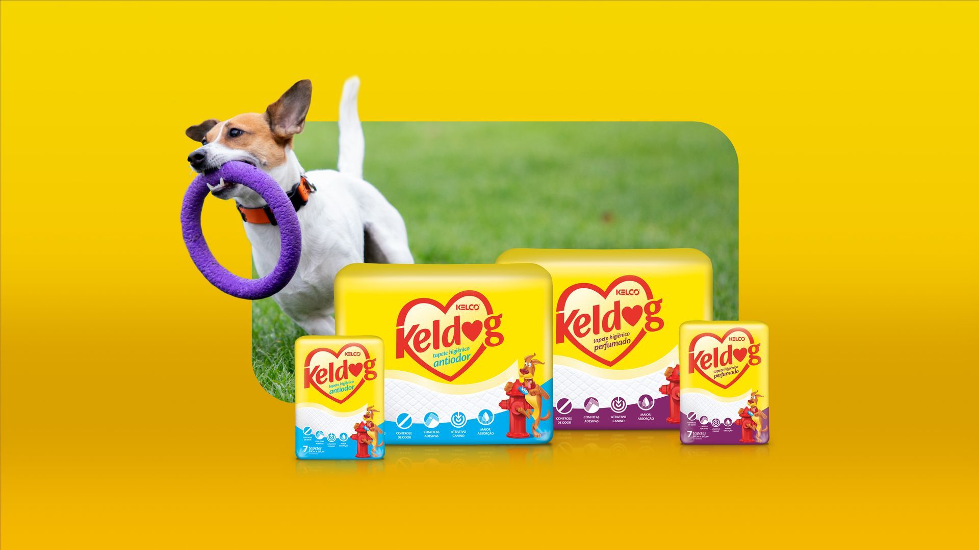 Um cachorrinho está brincando com um anel na boca.