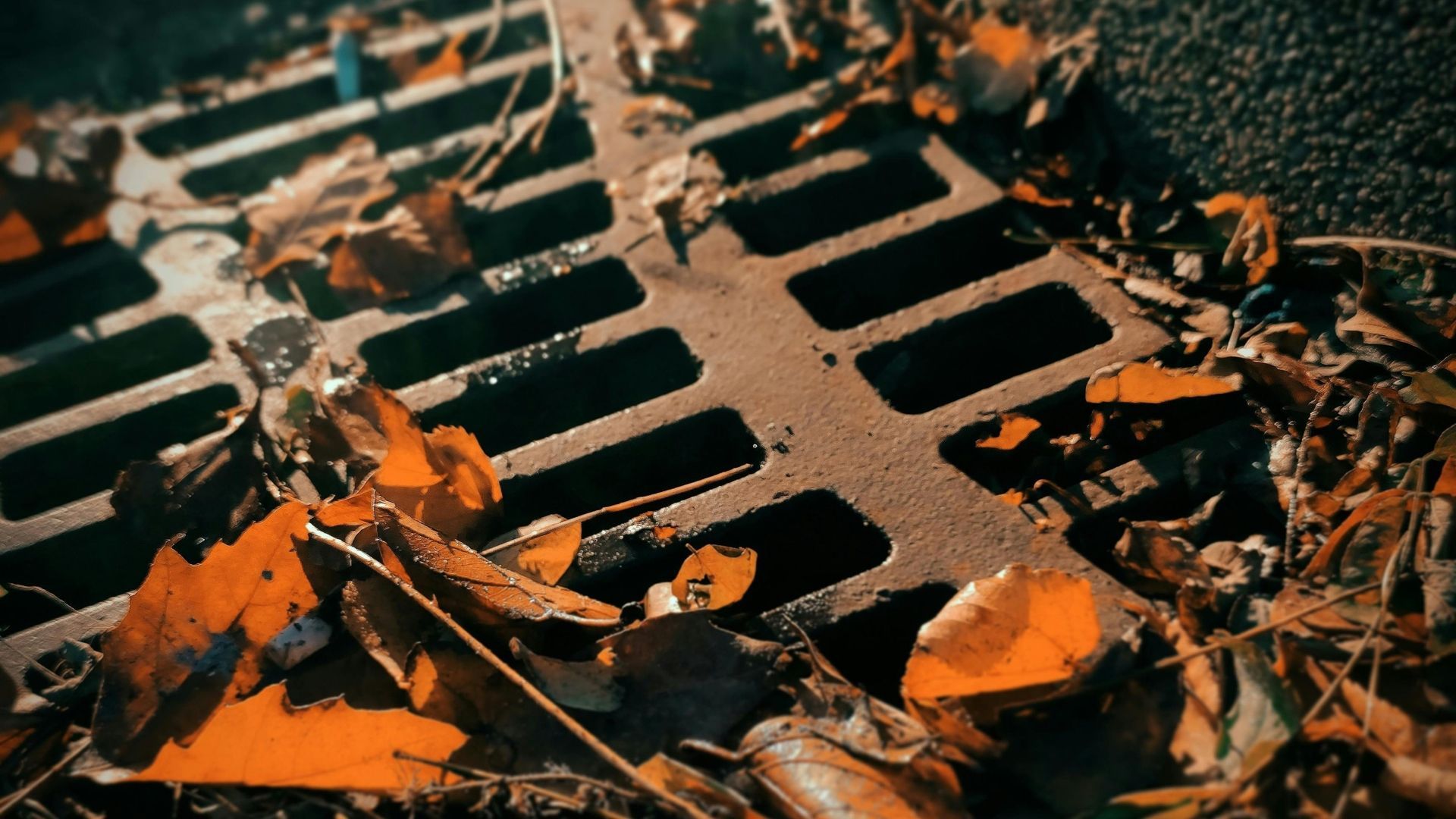 Rusty storm drain grate covered with orange autumn leaves and debris