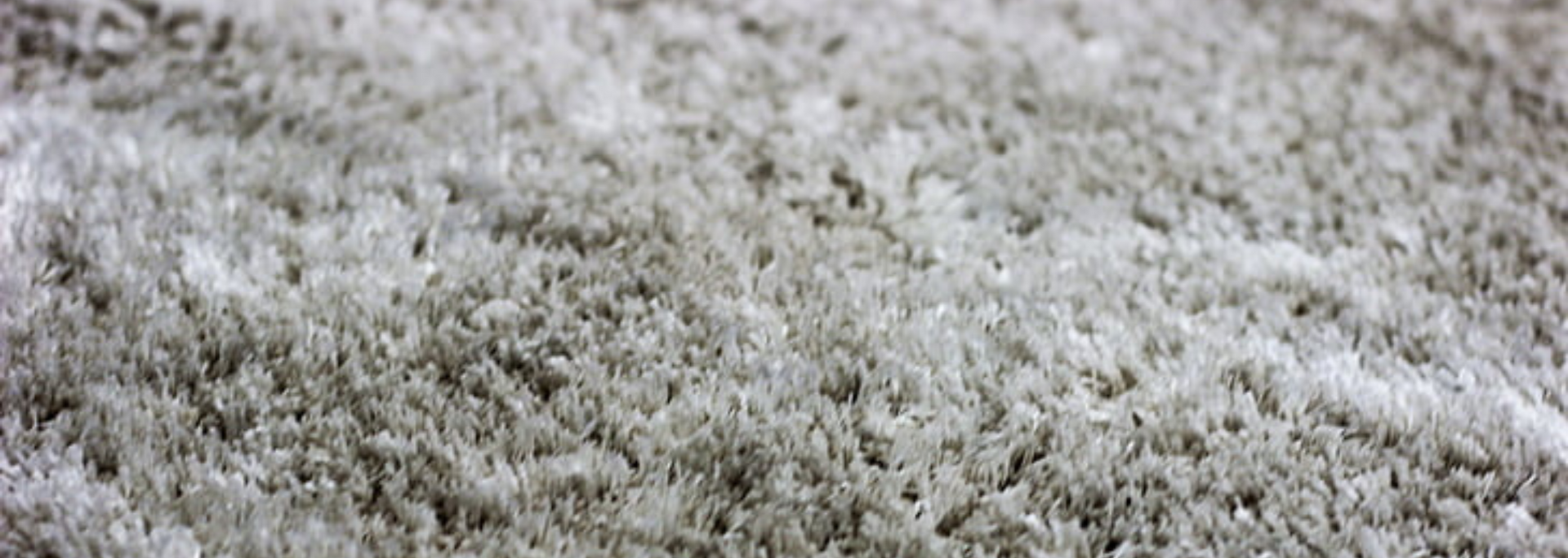 Snow-covered ground with a light dusting of frost or ice crystals