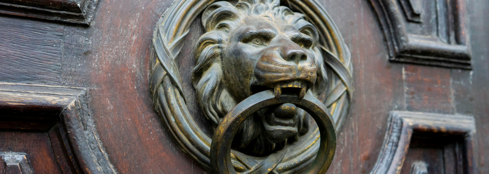Carved lion head door knocker on a dark wooden door
