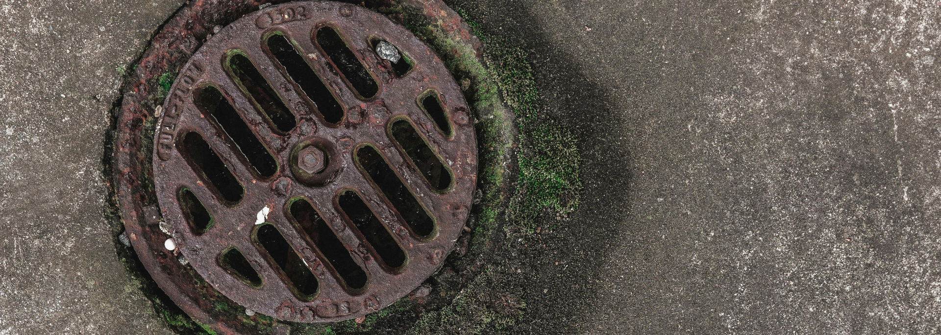 Round metal storm drain grate set in concrete pavement, with green moss around the edge