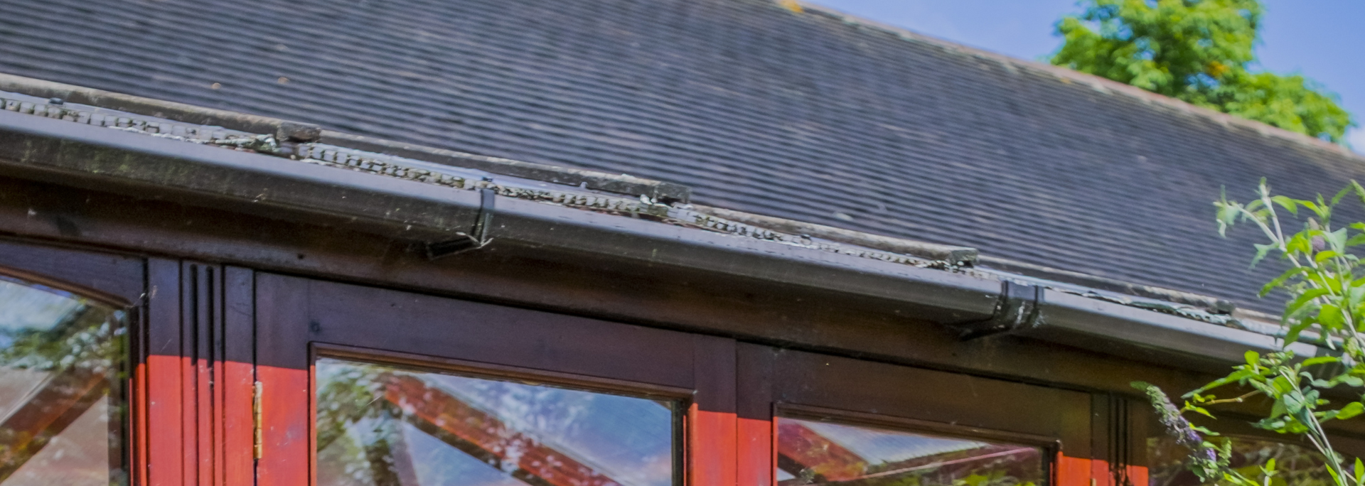 Dark gray roof over red-framed windows with tree branches and blue sky above