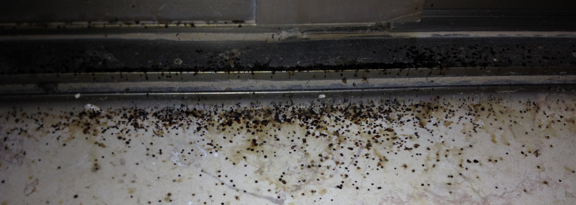 Dirty white floor with scattered debris and a dark metal strip along the top edge