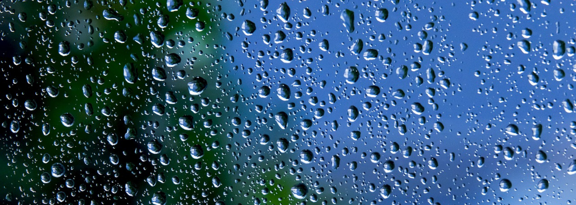 Rain droplets on a window with green foliage and a blue sky blurred in the background