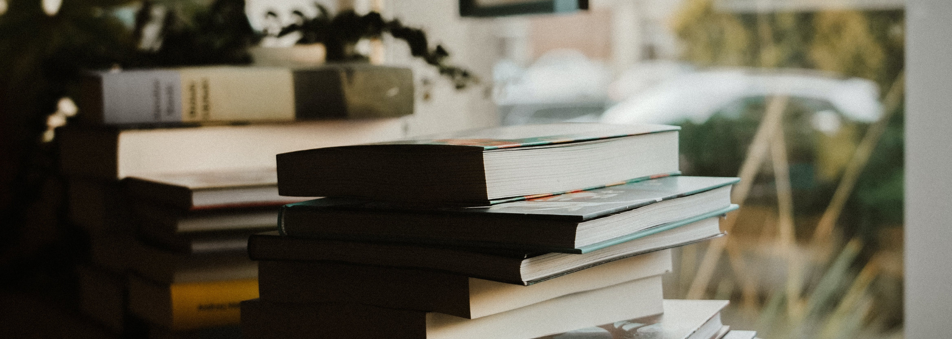 Stacked books on a table in warm light, with a blurred window and houseplants in the background