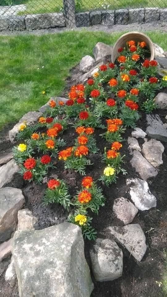 Un vaso di terracotta inclinato lascia cadere una colorata scia di calendule arancioni, rosse e gialle attraverso un'aiuola delimitata da rocce.