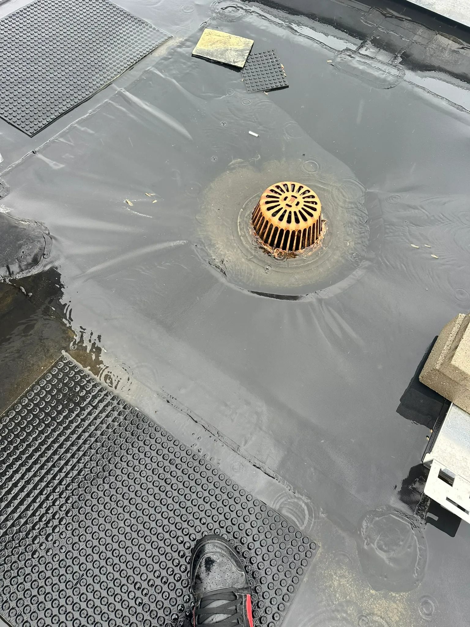 Rooftop drain surrounded by gray waterproofing membrane and black mesh panels.