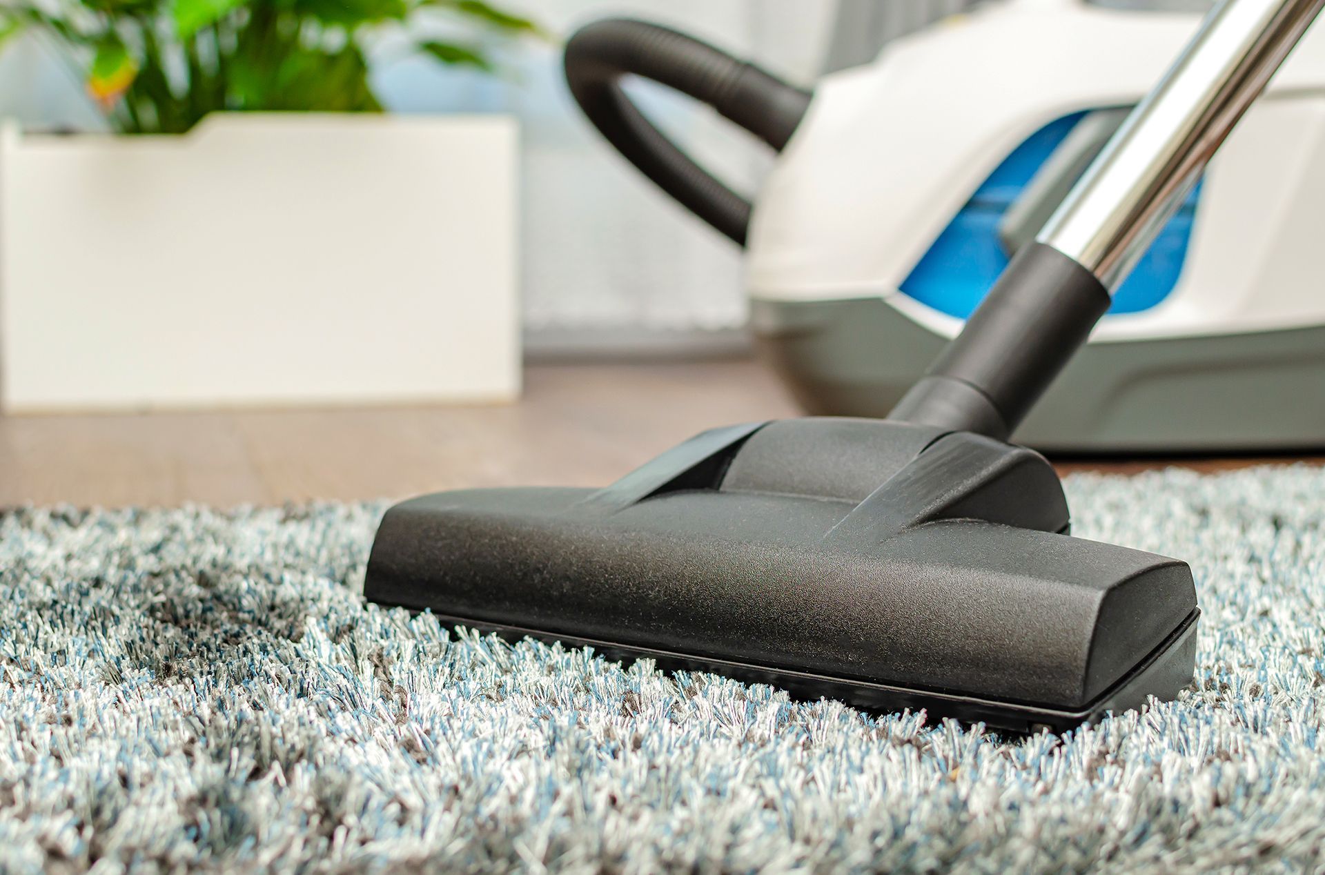 Close up On a Vacuum Cleaning the Carpet