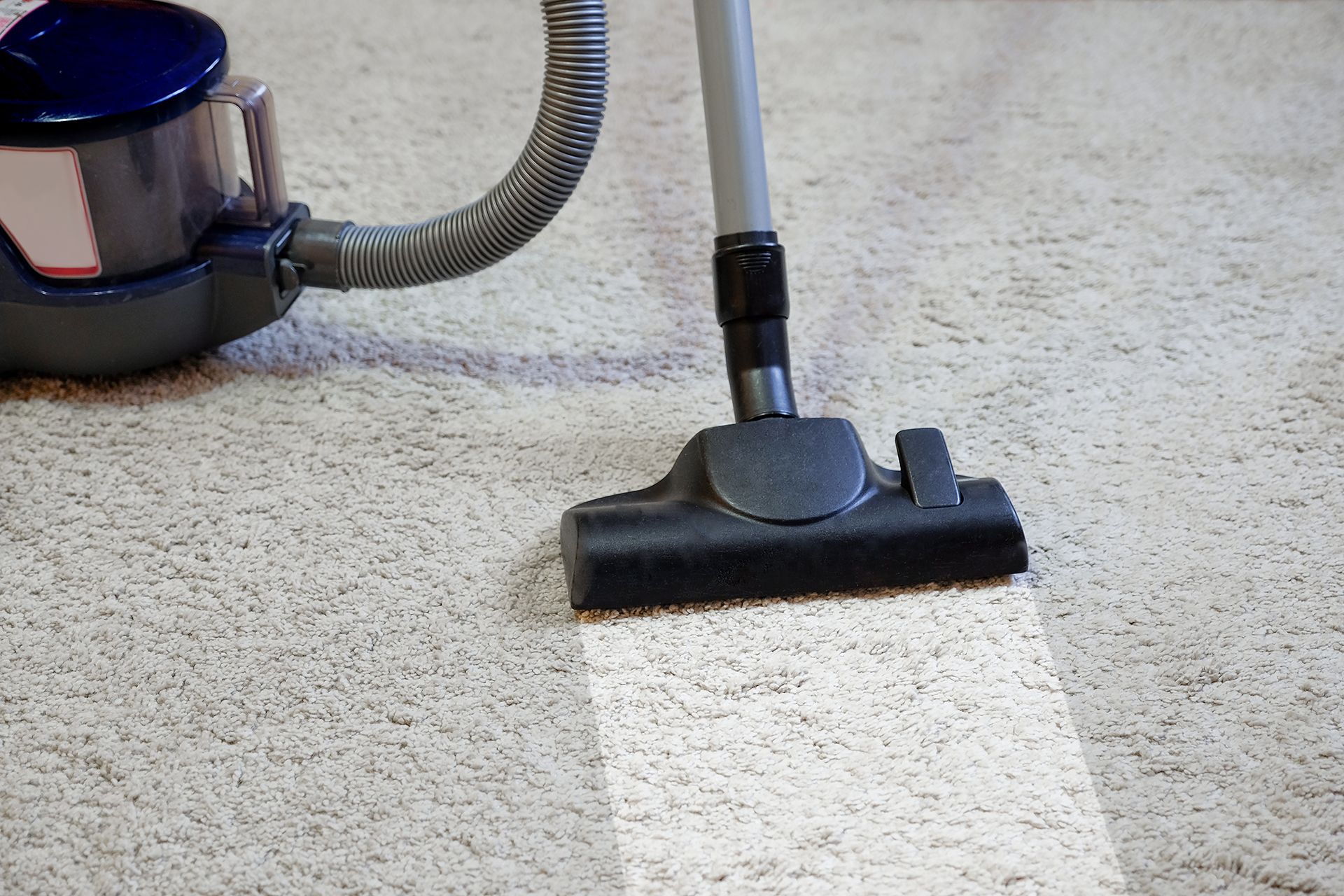 A Vacuum Cleaner Is Being Used to Clean a Carpet