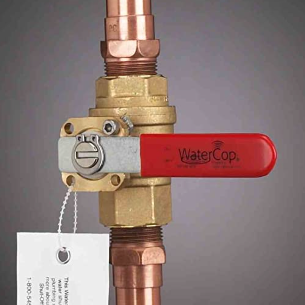 Picture of a on/off whole house water valve.