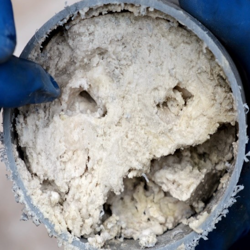Image of a clogged drain, with grease and oil.