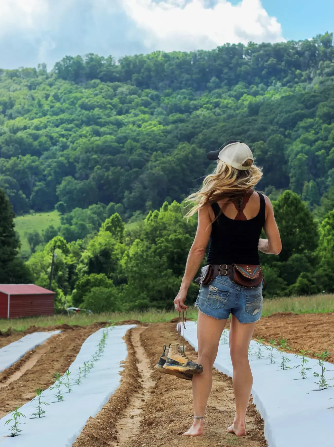 Franny Tacy barefoot in a field, wearing shorts and a tank top, looking at rows of plants with mountains in the background.