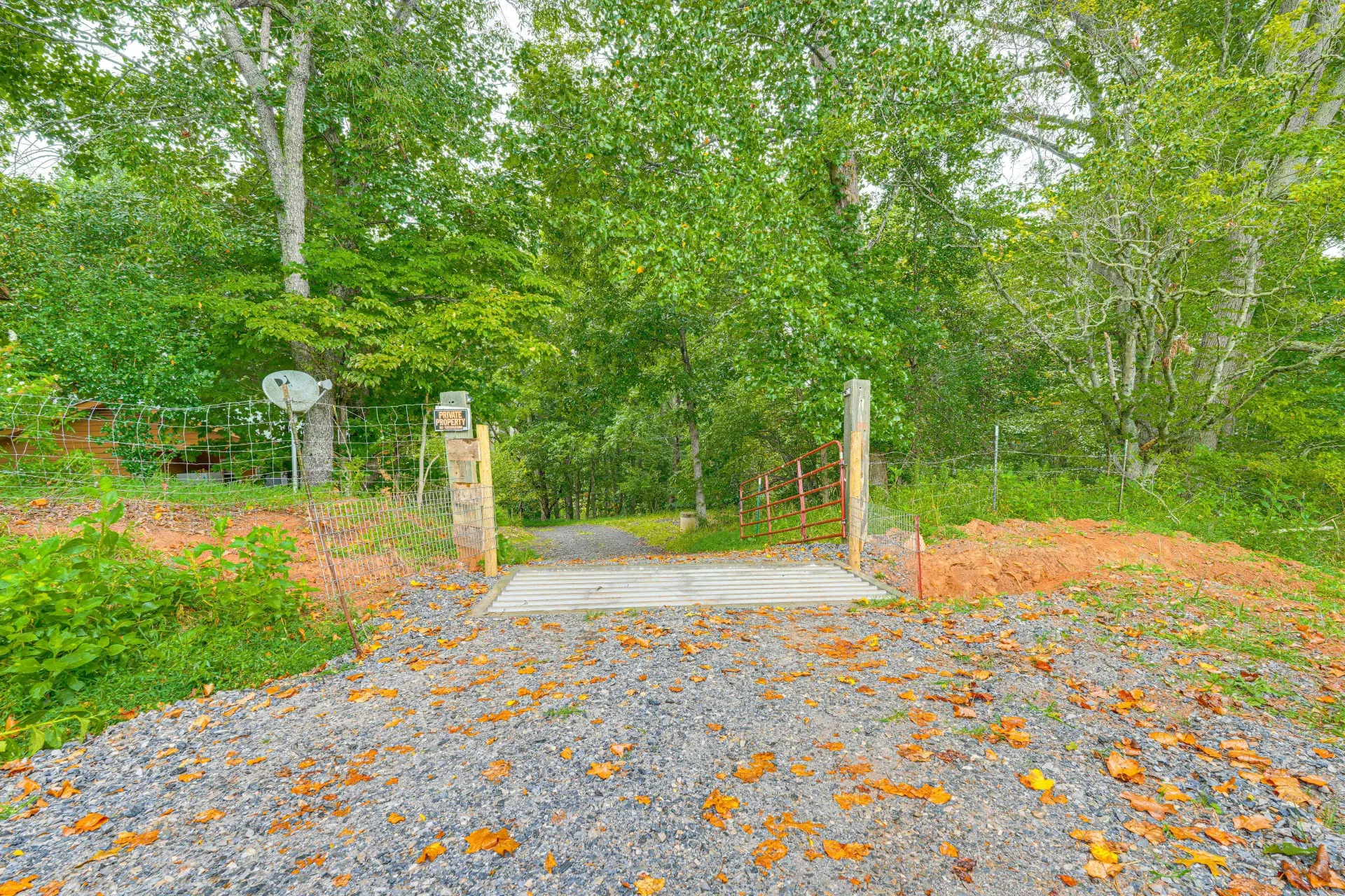 Gravel path leading to a small gate, surrounded by green trees and orange wildflowers