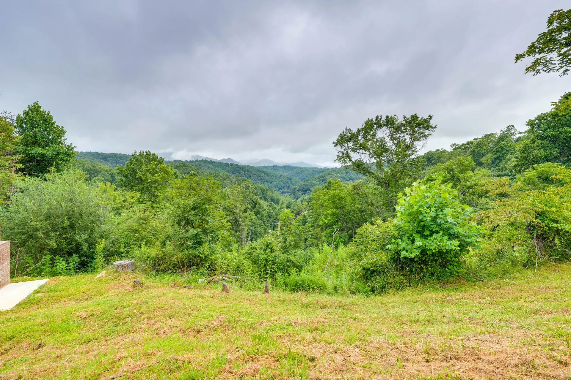 Lush green hillside and valley under a bright sky, with trees and shrubs in the foreground