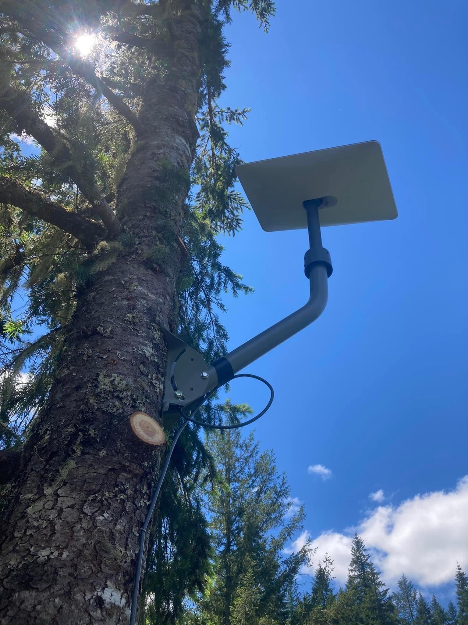 Arborist Linn Country, OR Advanced Tree Management