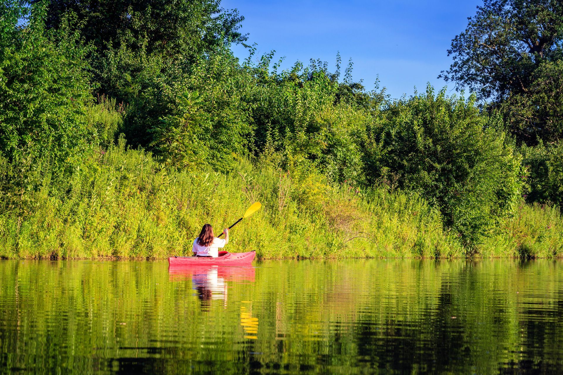 Person kayaking in a red kayak on a calm lake with green trees reflecting on the water