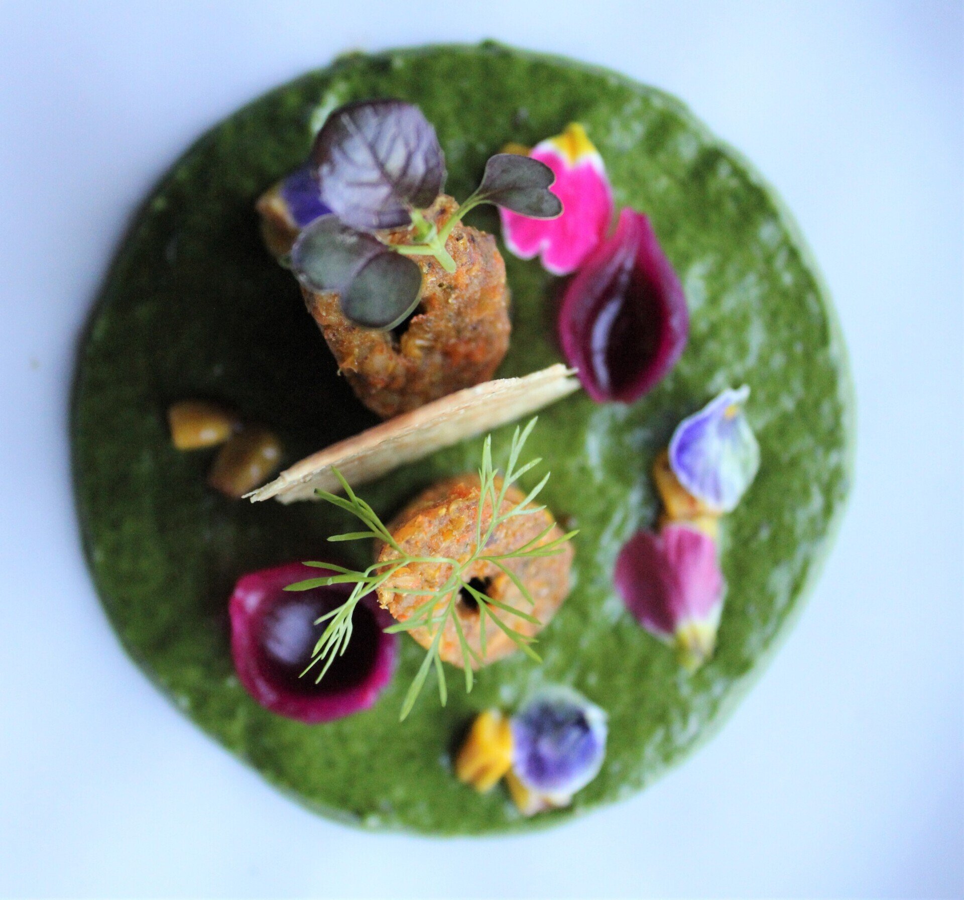 Jaipur Malahide Photos