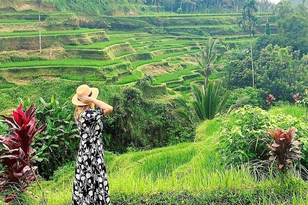 Private Bali Ubud Tour