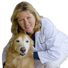 Veterinarian in white coat smiles with a golden retriever; both look happy.