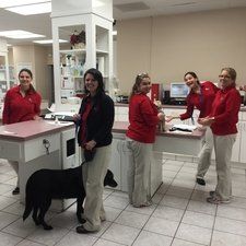 Veterinary clinic staff with a black dog at the reception desk. Employees in red shirts and khaki pants.