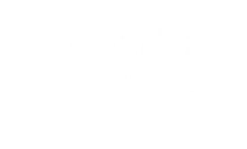 Dance Manor Studio #3 logo