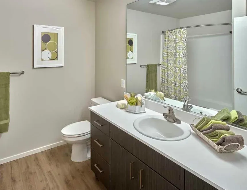 A bathroom with a sink , toilet , and mirror.