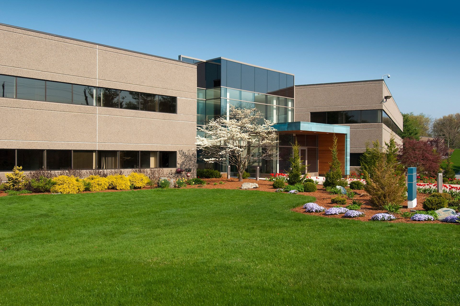 Modern office building with manicured lawn and landscaping against a blue sky.