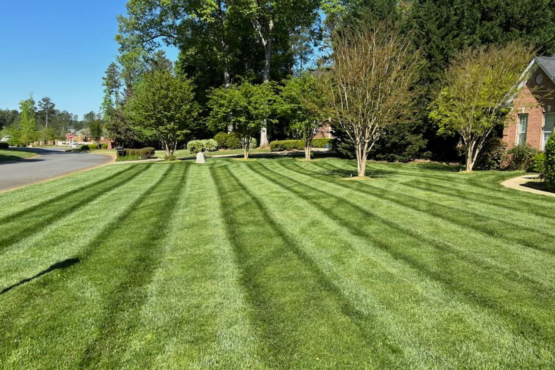 Lawn with straight stripes of dark and light green under a blue sky, trees, and houses.